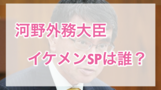 河野太郎,外務大臣,外相,イケメン,SP,ツイッター,Twitter,要人,警護,警備,警視庁,セキュリティポリス,意味,とは,何,画像,